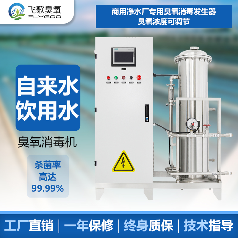 臭氧消毒機水處理廠家-廣州飛歌環(huán)保科技